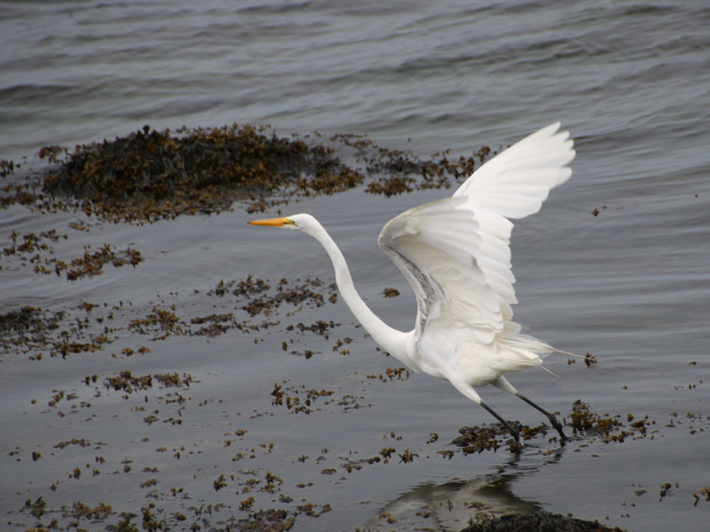 Print In Class B By Faye Dudek For Ready To Take Off OCT-2018.jpg